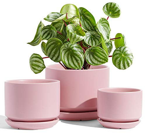 LE TAUCI Plant Pots, 11+13+17 cm Ceramic Planters, Set of 3 Flower Pots with Drainage Hole and Saucer, Indoor Plant Pot with Hole Mesh Pad, Gifts for Mom, Pink