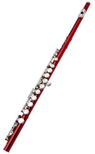 Flöte Für Anfänger 16 Löcher C-Ton-Flöte Mit E-Taste Rotes Holzblasinstrument Geschlossene Taste Kupfernickel-Röhrenflöte Anfänger-Set