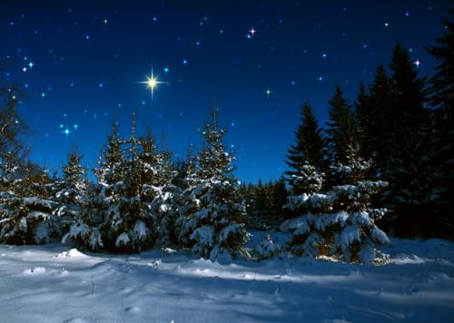 CORFOTO 2.1x1.5m Weihnachtsnacht-Hintergrund mit verschneiten Wäldern, schneebedeckten Weihnachtskiefern, Sternenhimmel, Fotografie-Hintergrund, Party-Dekoration, Weihnachtsdorf, Fotoautomat
