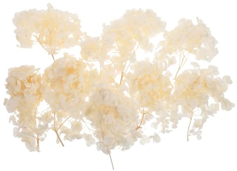 TOYANDONA di Ortensia Essiccati Naturali Decorazioni Floreali Secche per Matrimoni Artigianato DIY e Centrotavola per Feste Preservati per Eventi