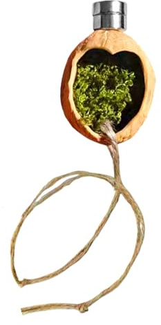 Spinnengehege-Zubehör – magnetischer Walnuss-Lebensraum, springende Spinne, Terrarium-Dekoration mit Seil, Terrarium-Zubehör für die Zucht von Spinnen, Geckos, Laubfröschen, Einsiedlerkrebsen und Zuha
