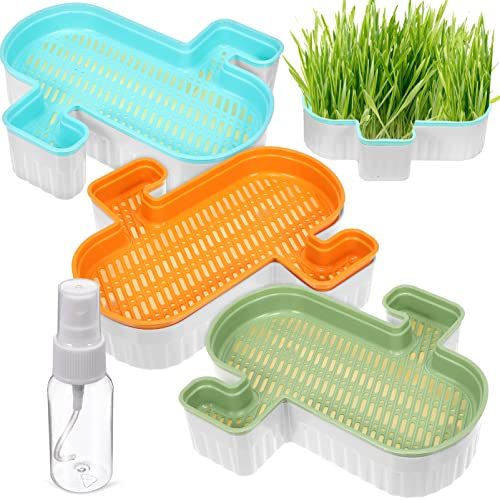 NOLITOY NOLITO Hydrokultur-Katzengras-Pflanzgefäß, 3er-Set, erdlose Kultur, Katzengras-Pflanzgefäße, Pflanzensprossenschale mit 1 Sprühflasche für Katzengras, Weizengras, Innengarten