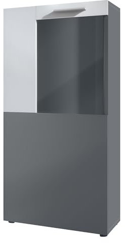 Vladon Vitrine Stream, Stand-/Hängevitrine mit 1 großen Tür, dahinter 2 geräumige Fächer, Anthrazit matt/Weiß matt (50,5 x 111 x 32,5 cm)