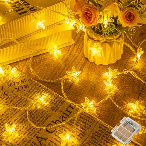 Etopgo Sterne Lichterketten,6M 40 LED Lichterketten batteriebetriebene mit 6h Timer fdekorativ für Innenbeleuchtung im Freien, Weihnachten,Schlafzimmer,Hochzeit,Geburtstag
