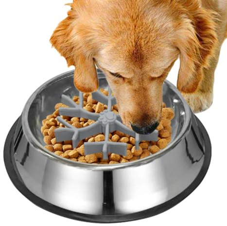 Slow Bowl Feeder for Dogs Anti-choking Bowl | Preventing Choking Dishes Silicone Stainless for Dogs Puppy Water Feeding Eating Small Large Medium Breed Pet Cat Kitten