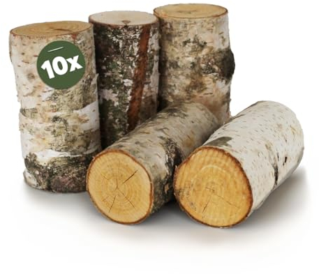 Birkenstamm Bastelholz Ø 5 x 10 cm als Holz-Deko und Bastelmaterial - 10 Stk. Birke Naturmaterial Holz-Stämmchen als große Holzstäbe - Stehende Birken-Stämmchen für Wohnung Garten Basteln