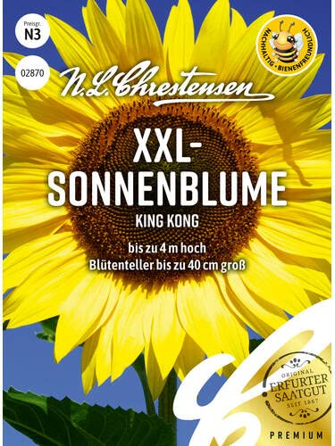 Sonnenblume KING KONG, N.L. Chrestensen Blumensamen, Saatgut insektenfreundlich, Sommerblumen, Blumen Samen, bis zu 4m hoch, bis 40 cm Blütenteller