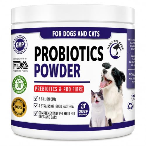 Probiotic Powder for Dogs & Cats, 6 Billion CFU, 4 Strain Probiotic with Prebiotic Fibre, Pumpkin & Psyllium Husk, Gut Health Supplement, Beef Flavour, 120g | Daily Pet Care