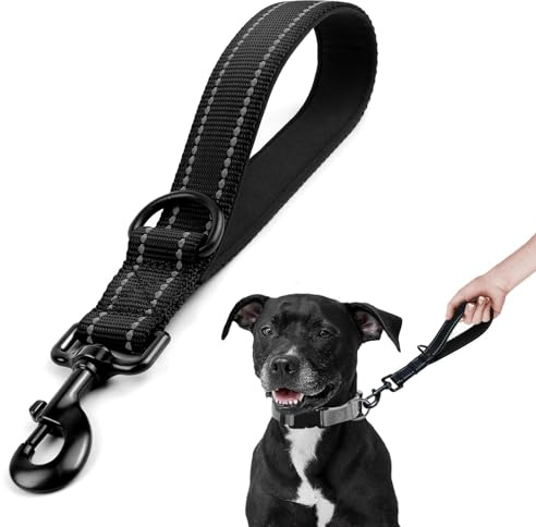 Laisse robuste pour chien - Laisse de transport et de contrôle de l'entraînement réfléchissante pour chiens de taille moyenne et grande