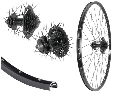 AGGRO-X 28 Zoll Alu Hinterrad Laufrad Disk 6-Loch 21-622 | mit 8 Fach Zahnkranz Kassette HG31, 24 Gang, Hohlkammer