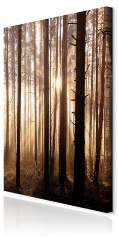decomonkey Bilder Wald Baum 40x60 cm 1 Teilig Leinwandbilder Wandbild Natur | Strukturleinwand, Holzkeilrahmen, Bild auf Leinwand, Kunstdruck, Wanddeko, Wohnzimmer, Wanddekoration