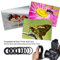 July Summer Gifts Ring Flash Light, 7 Modes Plastic LED Flash with Color Filters Adapter for Pentax for for for for for Most Cameras