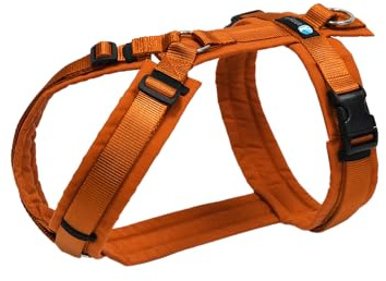 Anny-X Brustgeschirr Fun Ahorn | Hundegeschirr Größe M-Lang (Brustumfang 62-74 cm)