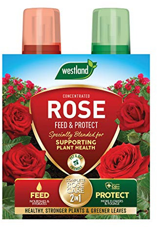 Westland Horticulture 20100417 Rose Feed & Protect Concentrates 2 in 1 (2x500ML)