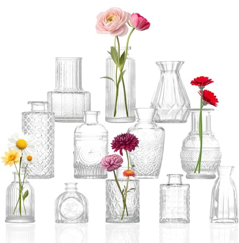 12 Kleine Mini Vasen Set, Glas Blumenvase,Vintage Kleine Vasen,Tischvase Verschiedene Größen für Küche,Esszimmer,Wohnzimmer,Badezimmer,für Tischdeko Mittelstücke