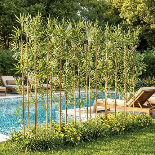VeriNatural Künstlicher Bambus 150 cm, UV-beständig, 24 echte Bambusstäbe | Kunstpflanze mit echten Bambusstäben,flexibel kombinierbar als Sichtschutz,Pooldeko,Garten-und Wohnraumdeko