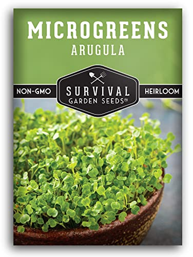 Arugula Microgreen Seeds for Sprouting - Non-GMO Heirloom Rocket Seeds for Fast-Growing Peppery Microgreens - Indoors & Hydroponic - Fast 7–10 Day Harvest - Survival Garden Seeds (1 Pack)