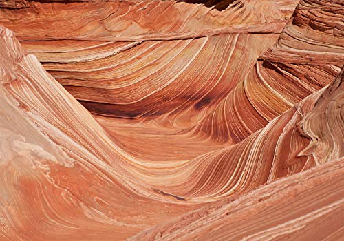 wandmotiv24 Fototapete Arizona Sandstein Steine, 200 x 140cm - selbstklebende Strukturtapete, Wanddeko, Wandbild, Wandtapete, Berge USA Wellen Wüste M6670
