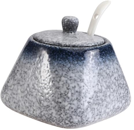 Didiseaon Bol à Épices Céramique Avec Couvercle Et Cuillère Pot De Rangement Pratique Pour Assaisonnements De Pots à Condiments Pour Cuisine Bleu