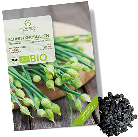 BIO Schnittknoblauch Samen - Küchenkräuter Saatgut aus biologischem Anbau ideal für den heimischen Kräutergarten, Balkon & Garten (50 Korn)