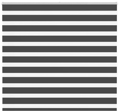 Doppelrollo Schwarz 165x150 cm, Blickdicht, Polyester-Gewebe, Fenster-Sonnenschutz für Innenbereich, einfache Montage ohne Bohren, Kindersicher, Verdunkelung Schlafzimmer, Wohnzimmer