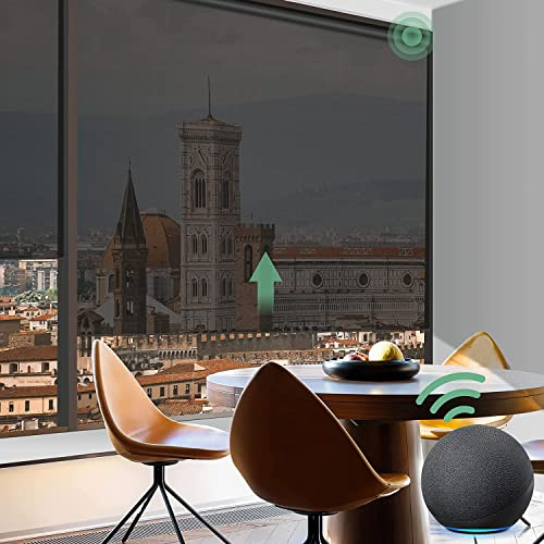 Yoolax Elektrisches Rollo mit Fernbedienung,Alexa Google Home Sprachsteuerung,Brandschutz Feuerhemmend Free Stop Smart Rollo 50% Verdunkelung Lichtfilterung,Nach Maß(Schwarz)