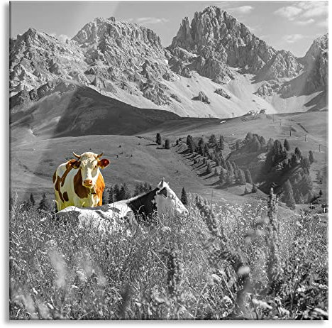 Pixxprint Glasbild, Wandbild auf Echtglas, Alpenszene mit Kühen auf grüner Wiese B&W Detail, 50x50 cm, inkl. Aufhängung und Abstandshalter
