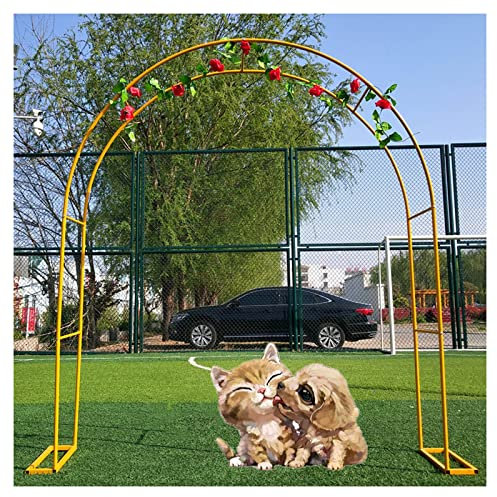 Pergola en métal pour plantes grimpantes, arche de jardin, arche de rose, tonnelle pour décoration de jardin de mariage, résistante aux intempéries, design large