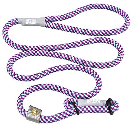 Cesar Millan Leine - Trainingsleine für Hunde - 2in1 Halsband Hund und Leine - Slip Lead - Retrieverleine mit integrierter Halsung (Small/Medium - Farbe: Aqua/Lila) - Länge 120 cm, Durchmesser 1 cm