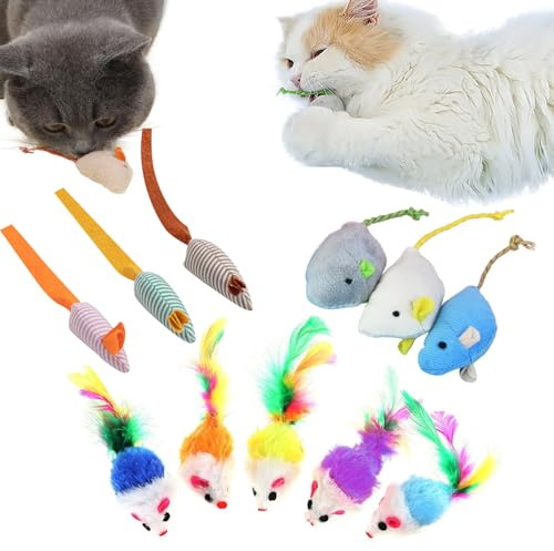 TYXHXTF 11 Stück Katzenspielzeug Set - Plüsch Spielmaus Mit Katzenminze für Alle Katzenrassen - Kitty Spielzeug Mix