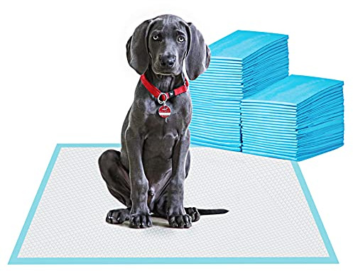 BESTLE Large Pet Training and Puppy Pads Pee Pad for Dogs 24x24-80 Count Super Absorbent & Leak-Proof