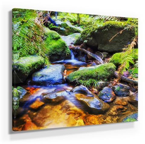 BilderKing Wunderschöne Wald Bilder auf Leinwand. Fotomotiv – Bachlauf - als 50x50cm großes Wandbild. Fertig aufgespannt auf Holzrahmen. Eine tolle Deko für Wohnzimmer & Schlafzimmer