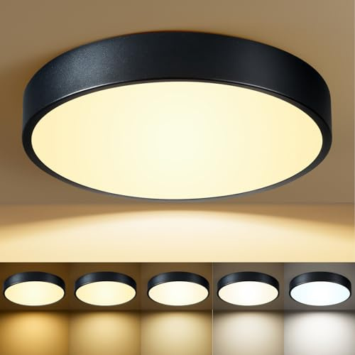 HLinghtnet Black Flush Mount Ceiling Light 12 inch LED Dimmable Ceiling Lamp 24W 5CCT(2700K-5000K) Modern Close to Ceiling Light Fixture for Bedroom Foyer Kitchen Entryway Closet Hallway