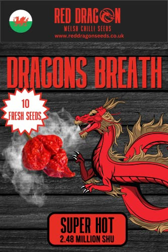 Dragons Breath Chilli Seeds - 10 Fresh Dragons Breath Pepper Seeds
