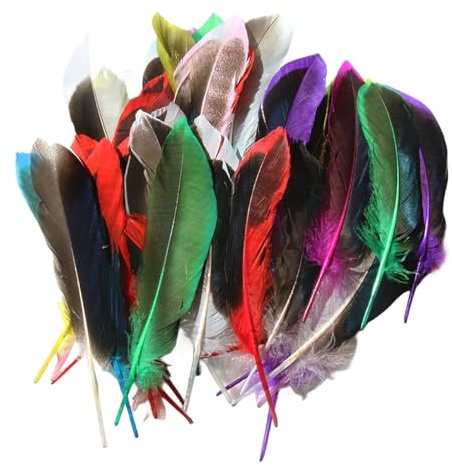 Vexquivera Pack of 50 Colourful Feathers for Crafts Feather for Crafts Craft Feathers Feathers for Hats Goose Feathers for DIY Dream Catcher Carnival Decorations/Hat/Vase/Mask, Fluffy & Soft
