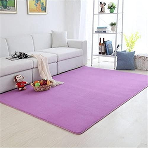 Alfombra de Terciopelo Coral Grueso de Color sólido Calidad Juguete morado Suave Lavable Antideslizante Grande Rugs Rug Minimalista Moderna Sala De Estar Dormitorio Tatami Gateando Estera -60×90cm