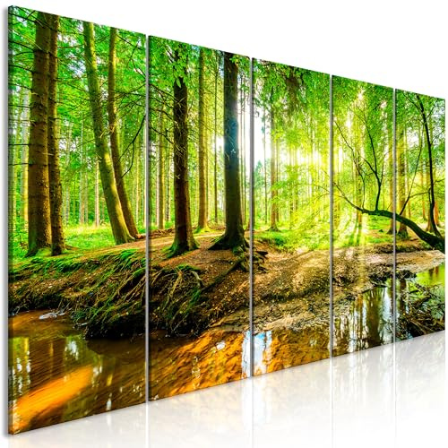 B&D XXL Acrylglasbild Wald 100x40 cm 5 Teilig Wandbild auf Acryl Glasbilder Kunstdruck Moderne Acrylglas Platte Wanddekoration Geschenke Heimdekoration Glasbild - Landschaft Natur c-B-0241-k-m