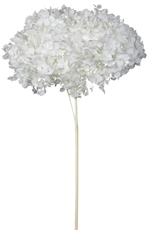 Hortensia Annabelle Lot de 1 décorations séchées naturelles Composition florale (blanc)