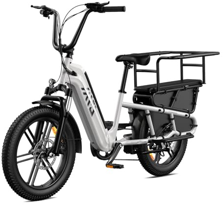 TST Elektrofahrrad für Erwachsene Lastenrad E Bike mit 20 Fat Reifen