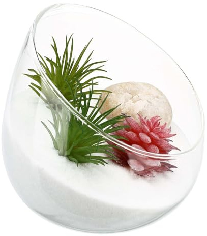 Schräg Geschnittene Schüssel Glasvase Klar Terrarium Süßigkeiten Gericht Obstglas Blumenbehälter Herzstück für Hochzeitsfeier Home Office (Transparent)