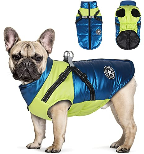 RosyFate Chaqueta Perro Otoño Invierno, Chaleco Mascota Pequeño, Abrigo Impermeable, Ropa Cálida a Prueba de Viento (M)