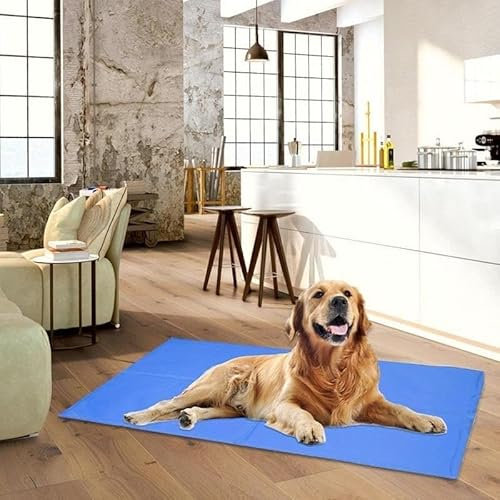 Hundebett, Kühlmatte, Hundematte, Hundematte, kühlende Sommer-Pad-Matte, wasserdicht, Welpenbett, Hunde, Katze, Decke, Sofa, atmungsaktiv, selbstkühlendes Gel-Pad, Sommer-Haustierbedarf ( Color : 65x5