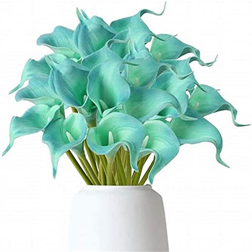 Gemischte Farben, Bienenfreundlich, Lange Blütezeit, Calla Lily, Ideale Garten, Winterhart MehrjäHrige, Elegante Calla Lilien,-6zwiebeln-I