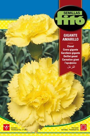 Semilla Clavel gigante amarillo - Semillas Fitó