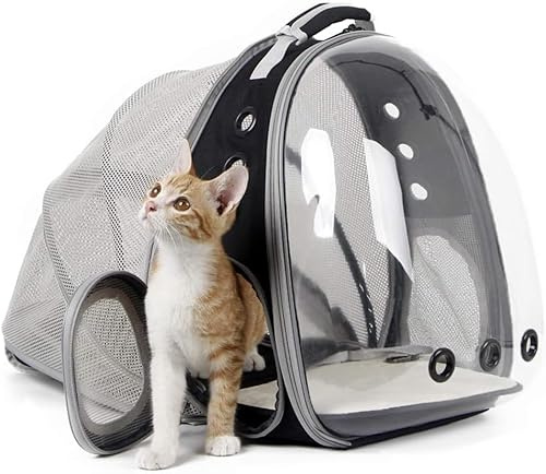 LAIRIES Cat BP-01