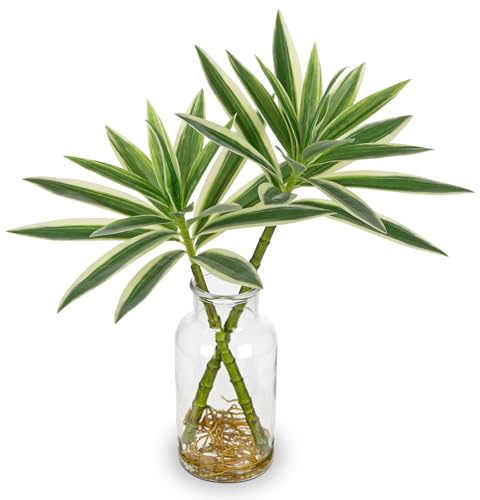 Oairse Artificial Plant in Glass Vase with Faux Water 36cm Decorative Fake Plants Realistic Faux Greenery Artificial Dracaena Reflexa Indoor Plant for Home Office Kitchen Bathroom Table Shelf Decor