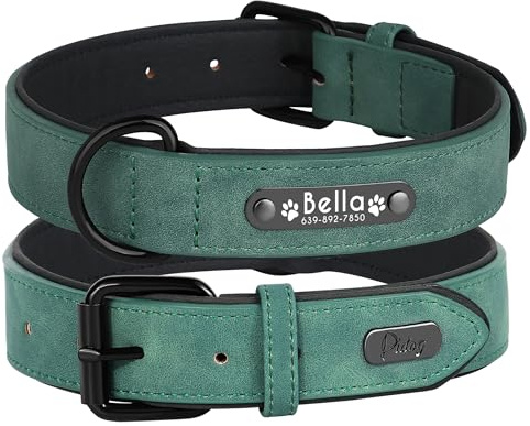 Didog Hundehalsband, weiches, gepolstertes, Leder, mit personalisierbarem, graviertem Namensschild, D-Ring. Für kleine und mittelgroße Hunde geeignet.