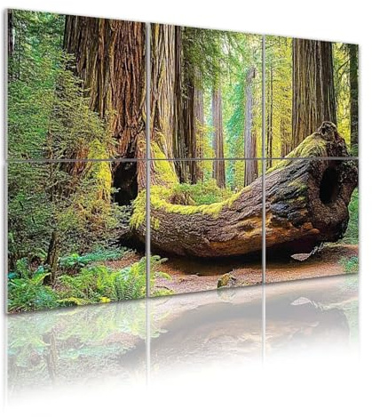 Art Acoustic Panels redwood national park sequoiass pictures 6 Pack Decorative Sound Absorbing Wall Panels 72x48 Noise Canceling Soundproof Padding Room Decor for Office