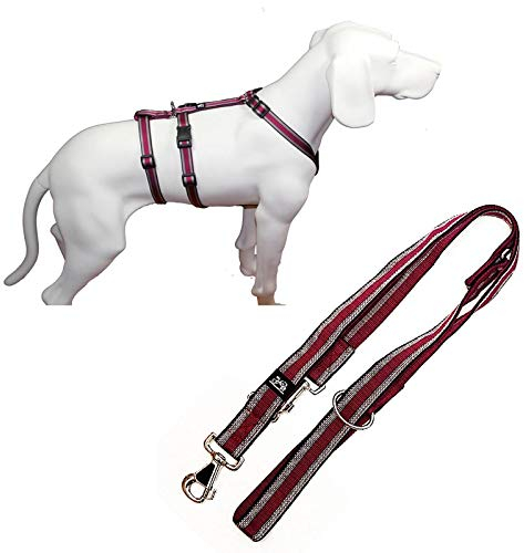 Feltmann NoExit Hundegeschirr® - ausbruchssicher, Panikgeschirr, Pflaume Muster, Bauchumfang 75-100 cm, 25 mm Bandbreite, mit passender Führleine 210 cm, 3-Fach verstellbar
