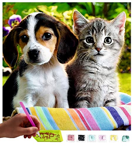 MISHBAY Diamond Painting Erwachsene Set Katze - 30x30cm - Diamant Painting Entspannendes DIY Komplettset für Frauen & Anfänger - Kreatives Hobby für Ruhige Auszeite